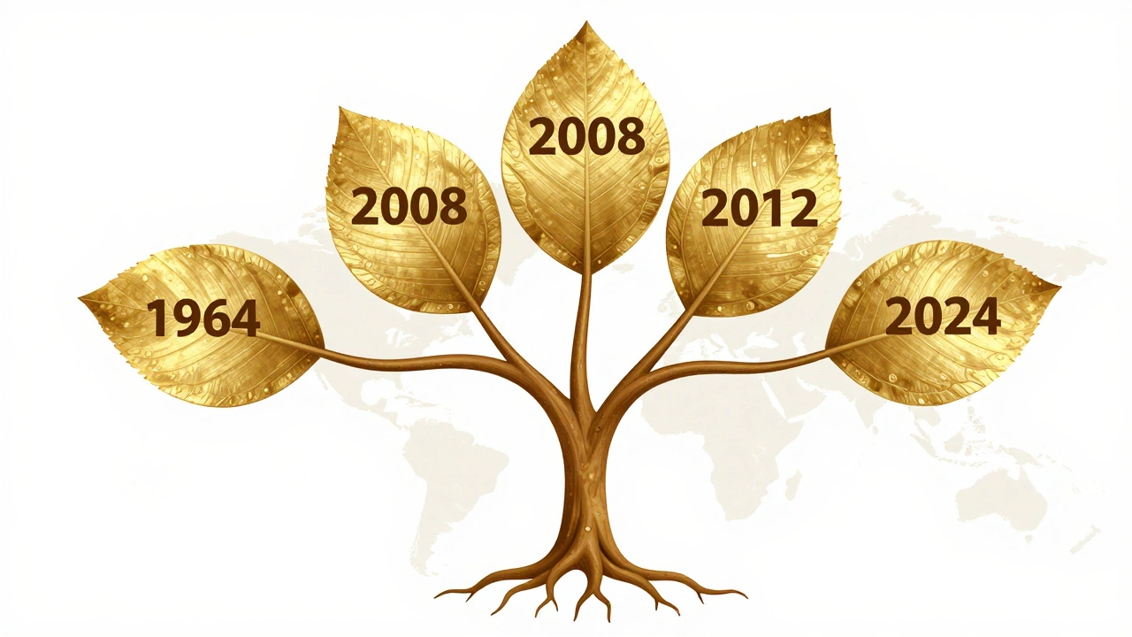 Дерево чемпионатов Европы: четыре золотых листа Испании на фоне других наций.